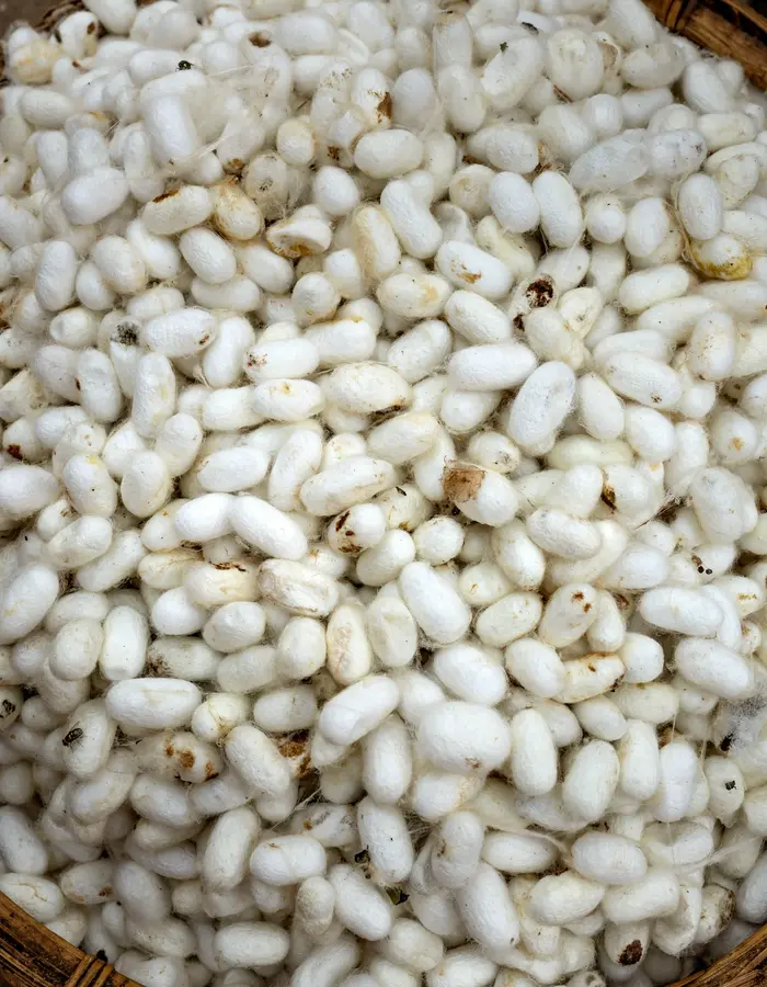Nguồn gốc từ thiên nhiên